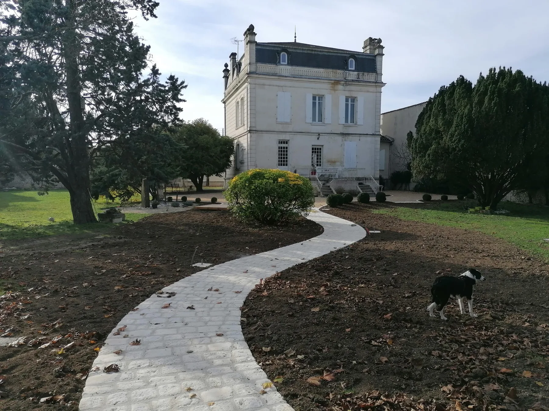 Dallage en pavés — photo 1